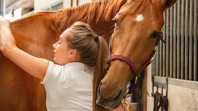 Kid grooming a horse after taking it for a trail ride inspiring a lifelong connection to nature